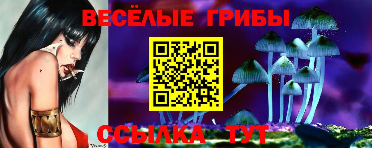 Менделеевск  Псилоцибиновые грибы Psilocybine cubensis  Галлюциногенные грибы мухоморы  Вход с VPN 